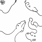 shapeshifter mutating set 6 3