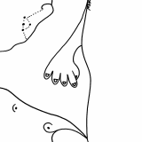 shapeshifter mutating set 6 4