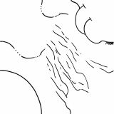 shapeshifter mutating set 6 5