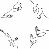 shapeshifter mutating set 7 4