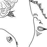 shapeshifter mutating set 8 4