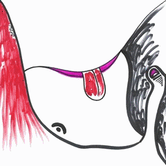 ss-mutations-dfjw-15