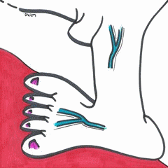 ss-mutations-dfjw-3b