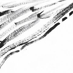 2022-dfjw-paint-2-12s2_2 - Copy (2)