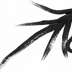 2022-dfjw-paint-2-20s2_2 - Copy