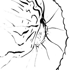 dfjw2021-june-f-11s - Copy (3)