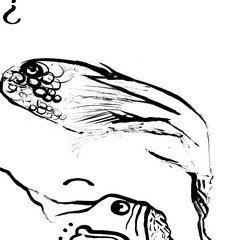 dfjw2021-june-f-13s - Copy