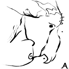 dfjw2021ss-june-e-16s - Copy