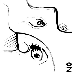 dfjw2021ss-june-e-23s - Copy (2)